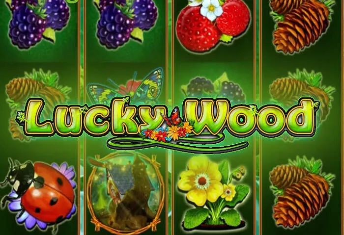 Account access via Magical Spin Casino Bonus Login portal