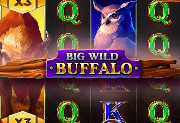 Magical Spin Casino : aperçu complet et fonctionnalités détaillées.