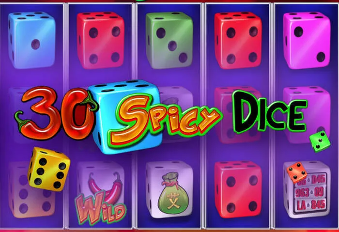 Official gambling license document for Magical Spin Casino, confirming regulation.